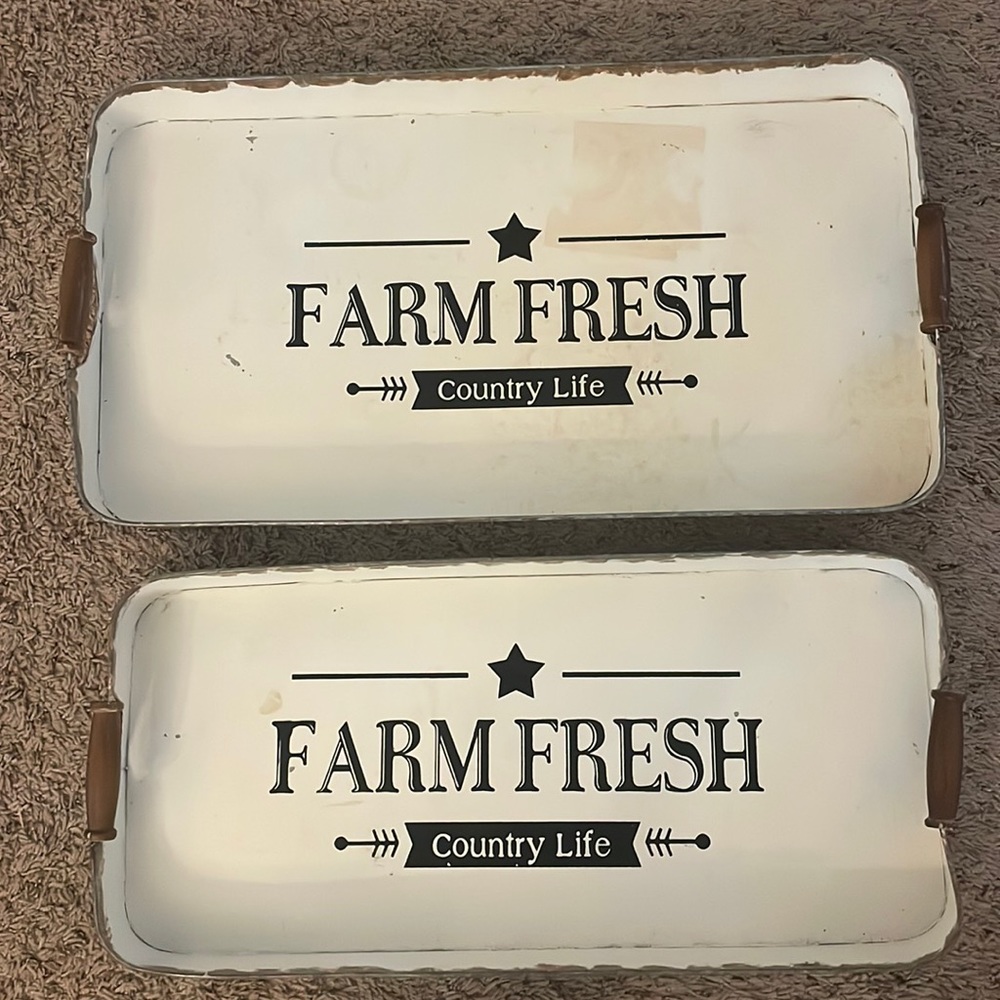 Galvanized Tray set